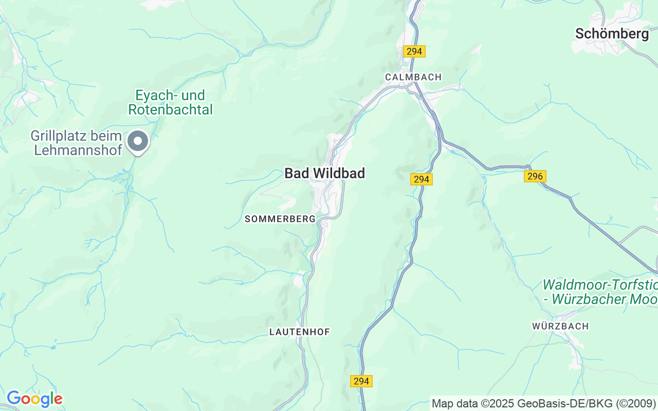 Helle 2-Zimmer-Wohnung mit großer Terrasse in Bad Wildbad
