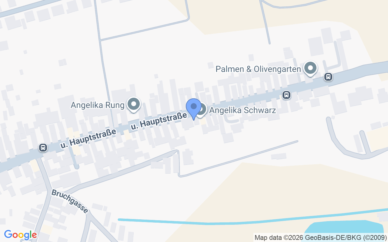 Kernsaniertes, Haus mit großen Garten