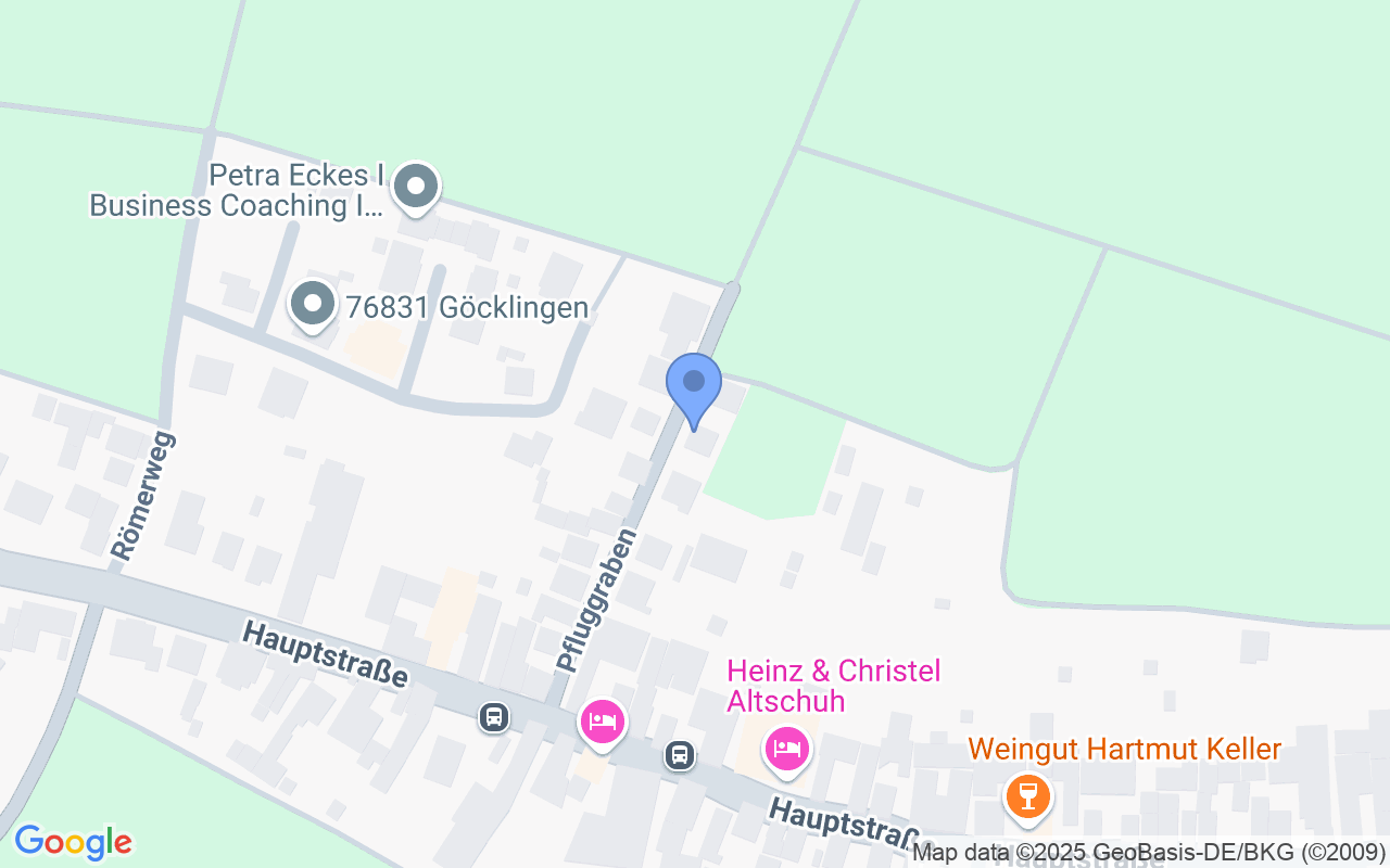 ***Wunderschönes freistehendes Einfamilienhaus, mit Blick auf die Madenburg***