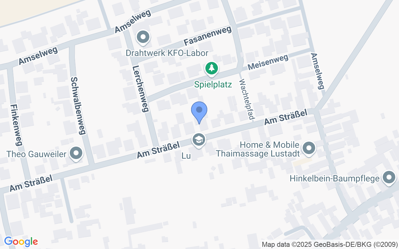 Attraktives Einfamilienhaus mit separater Wohnung und großzügigem Grundstück in Lustadt, RLP
