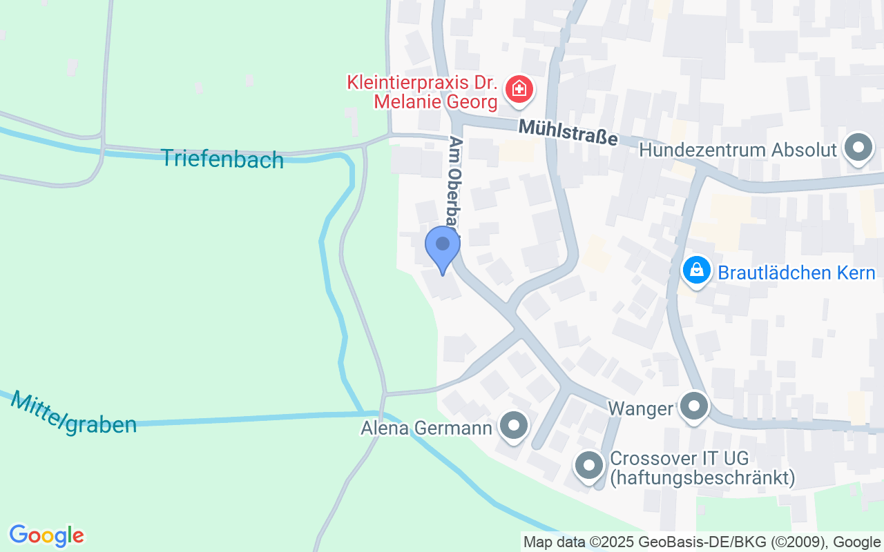 Provisionsfrei: Exklusives Luxus-Familienhaus in nicht verbaubarer Feldrandlage in Venningen
