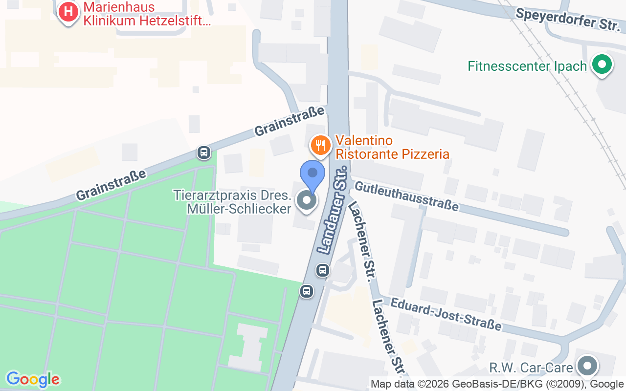 Wohnen und Arbeiten - vielseitig nutzbar - bestens angebunden