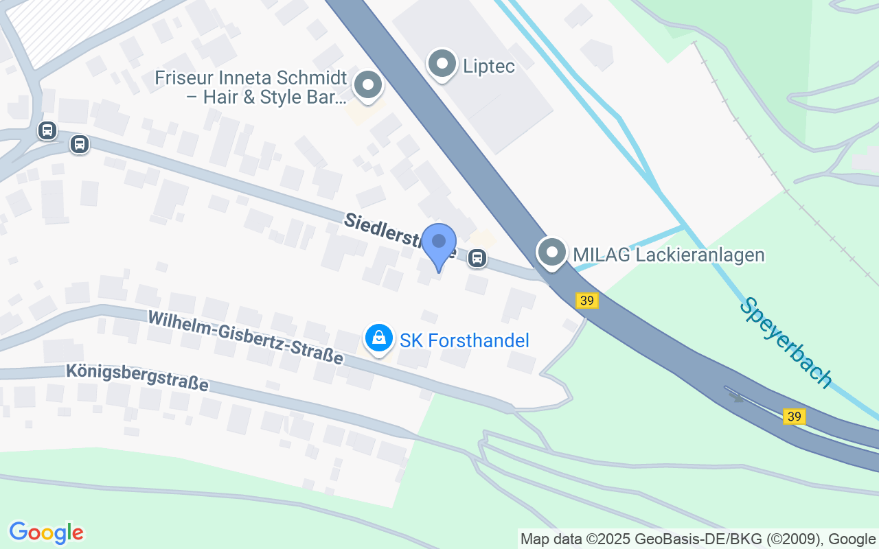 Exklusives freistehendes Einfamilienhaus in idyllischer Lage in Neustadt an der Weinstraße
