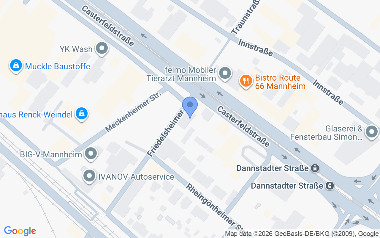 Friedelsheimer Straße 3, 68199 Mannheim