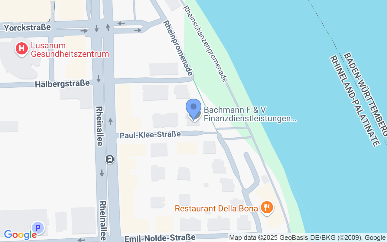 Luxusdomizil in bester Lage direkt am Rhein!