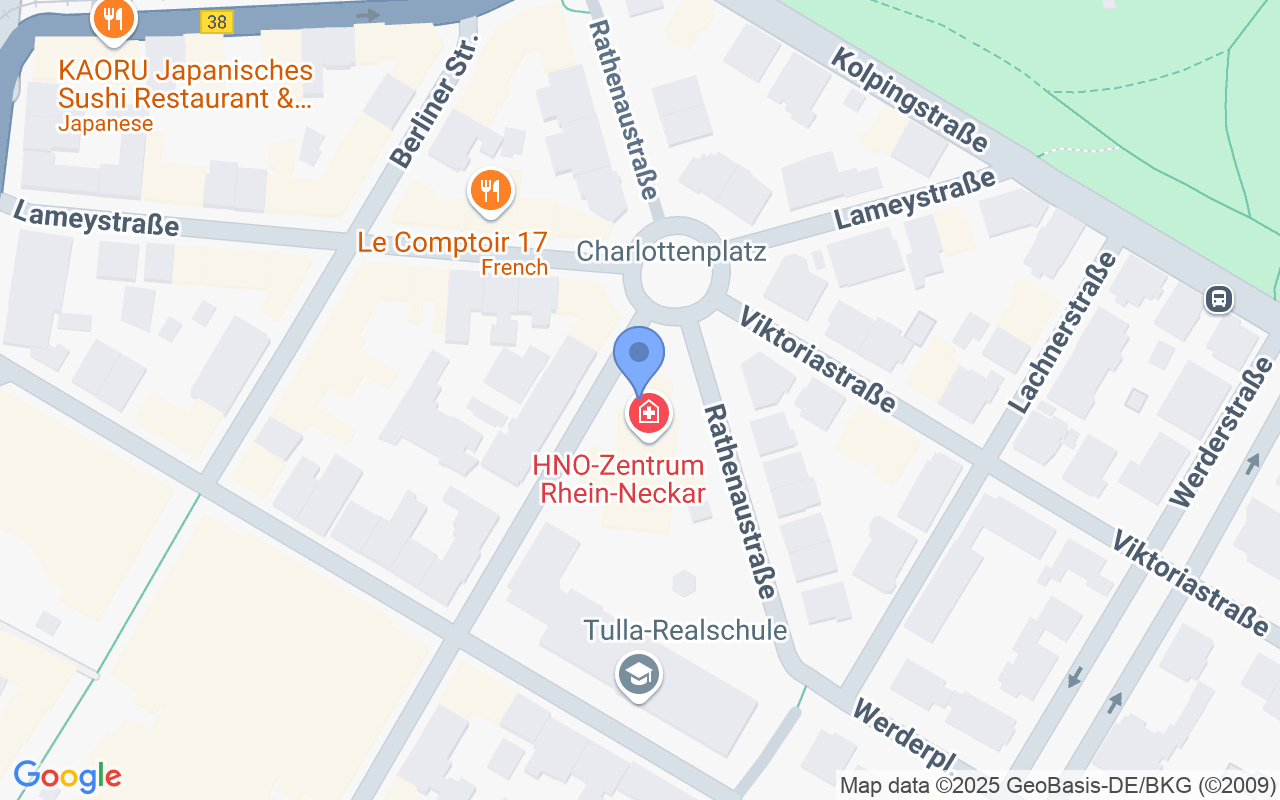 Stilvolle 3,5-Raum-Loft-Wohnung im Denkmal Palais Langheinrich ohne Maklerprovision!