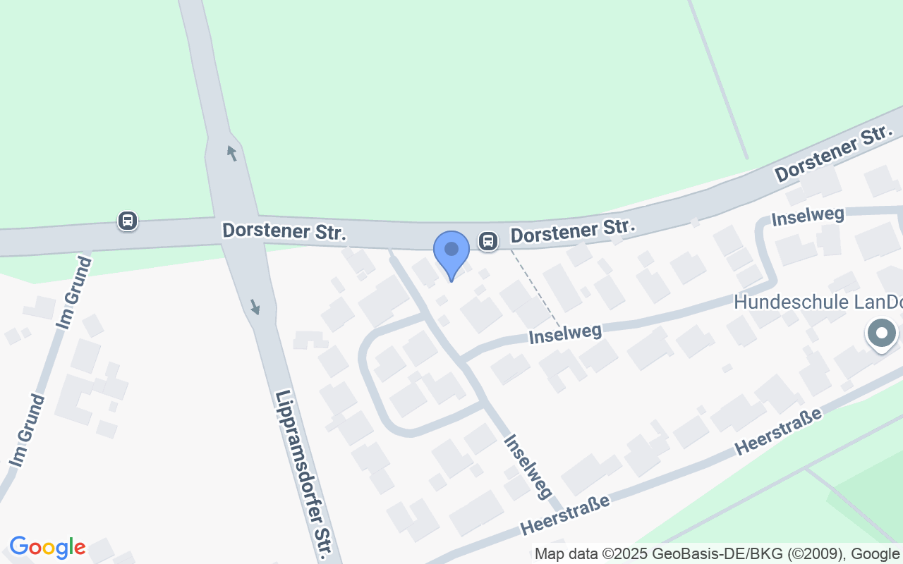 Gepflegtes RMH mit Carport in ruhiger, gewachsener Wohnsiedlung von Haltern am See - Lippramsdorf