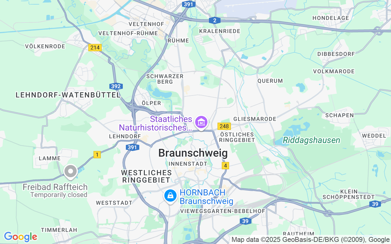 EXKLUSIVE RARITÄT: STADTWOHNUNG AN DER OKER MIT BLICK NACH SÜDEN ÜBER OKER, PARK UND EIGENEN GARTEN